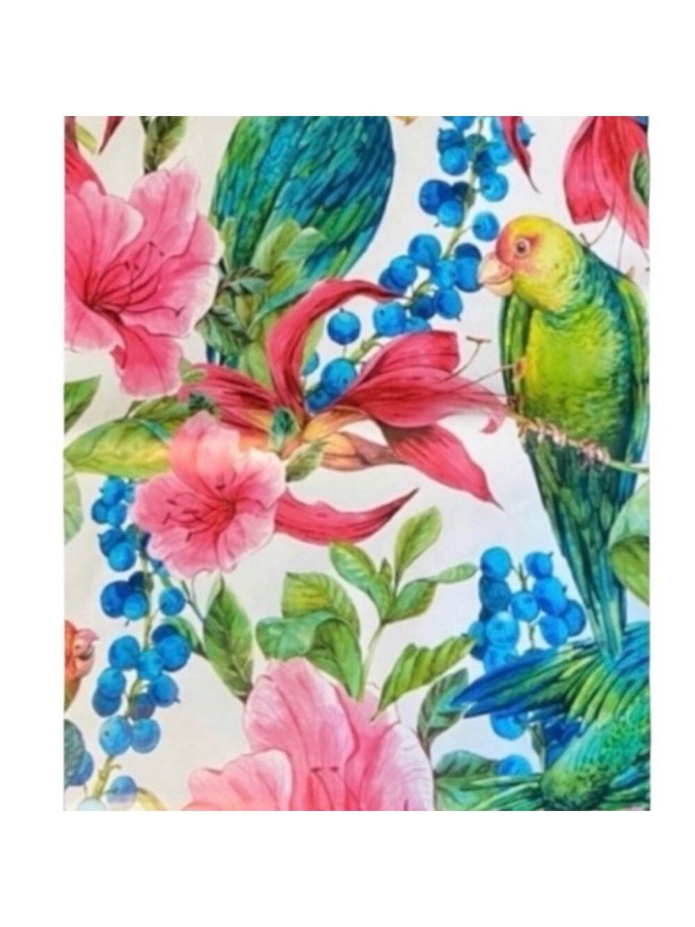 25 10x13 Jungle Poly Mailers Variety Bundle - Picture 7 of 7